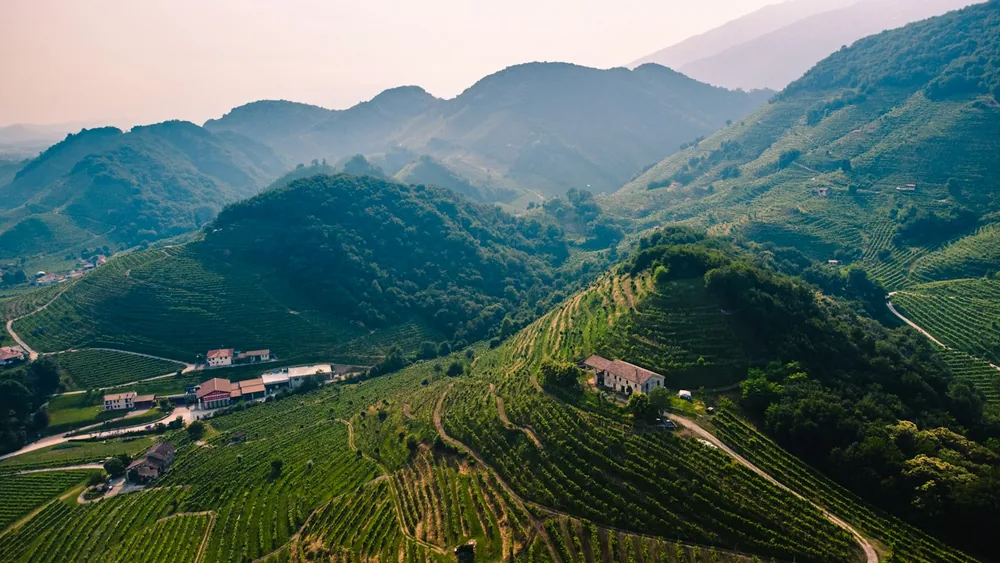 Green grass field near mountain during daytime