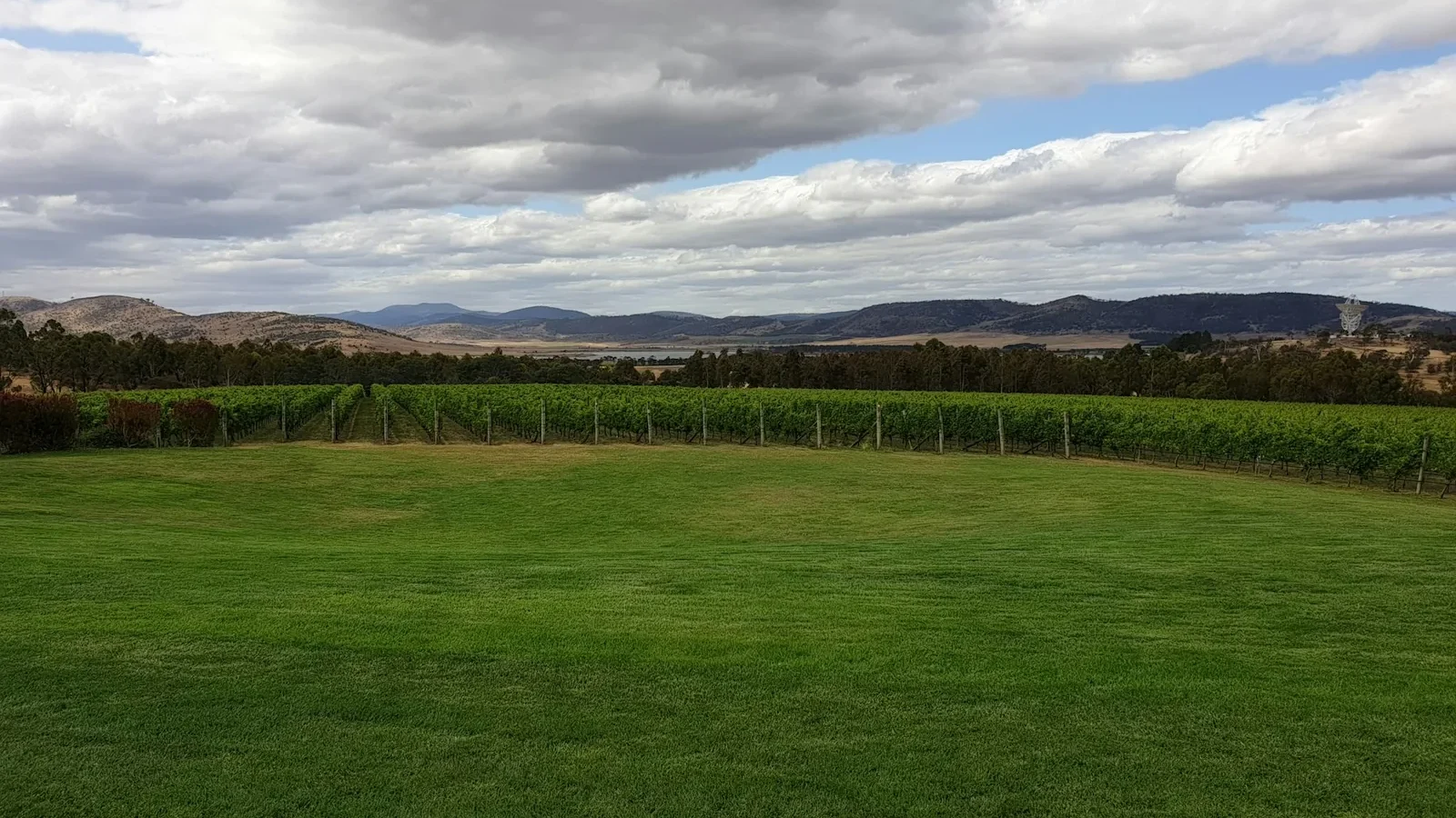 Green grass field under cloudy sky during daytime