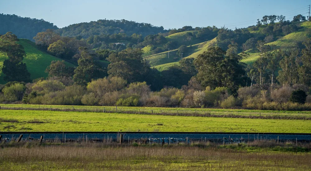 Green hills and countryside in San Rafael, California under clear blue skies