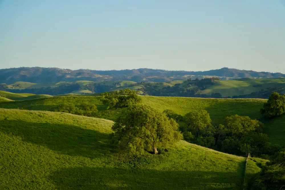 Green hills roll into the distant mountains