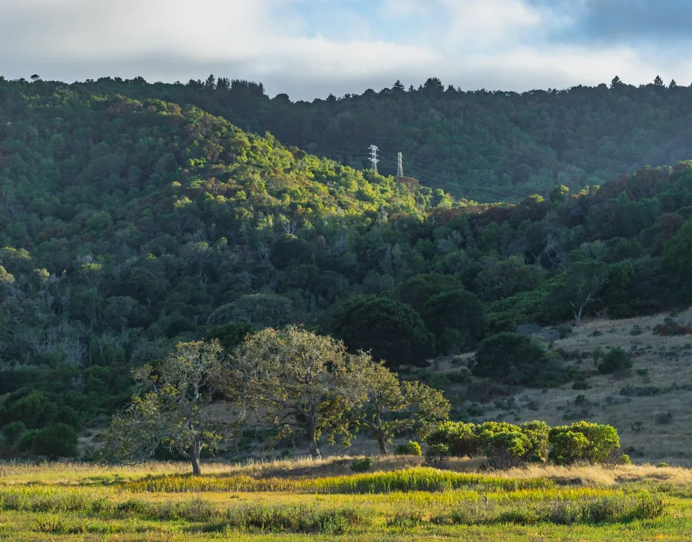 Green hills under a bright sky, showcasing natural beauty and tranquility