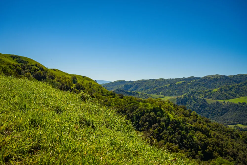Green hills under a clear blue sky in Sunol, California, showcasing serene natural beauty