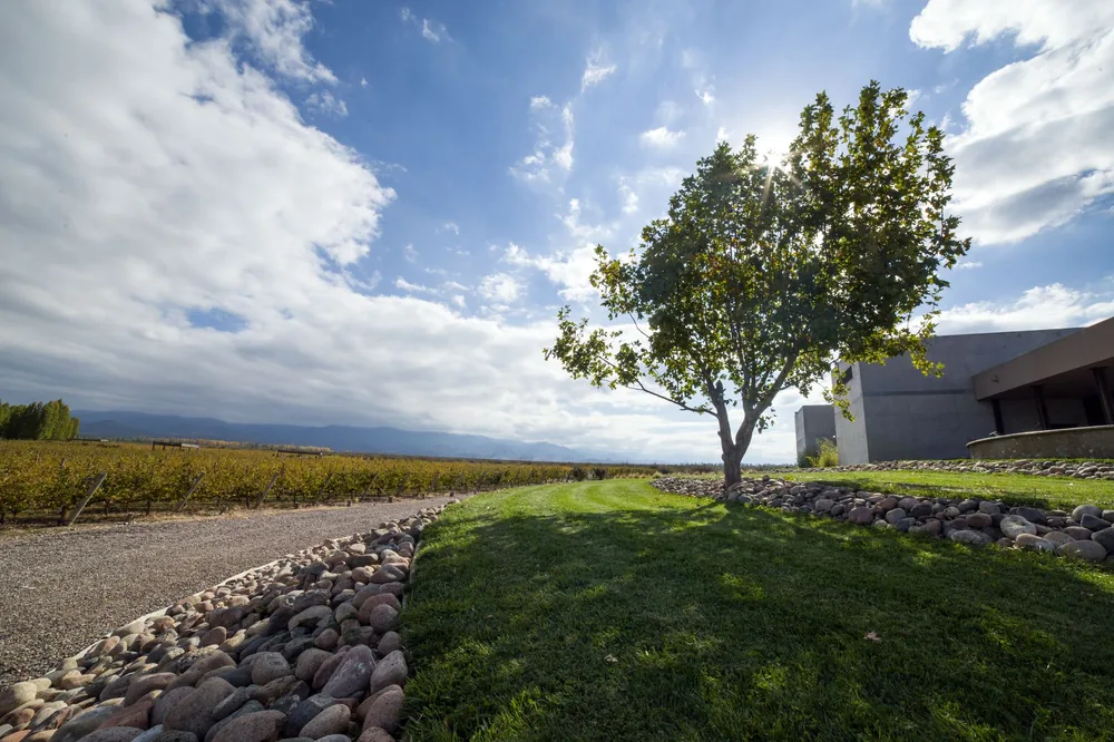 Green lush countryside area with contemporary building and narrow gravel road against blue sky