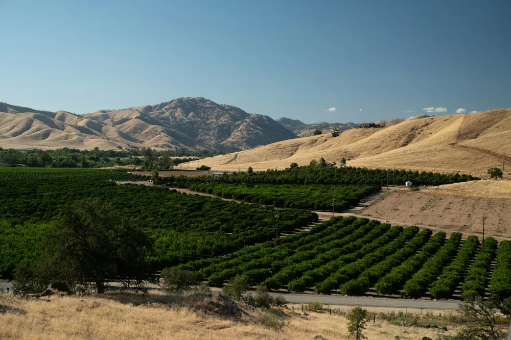Green orchards nestled between golden hills under a clear sky