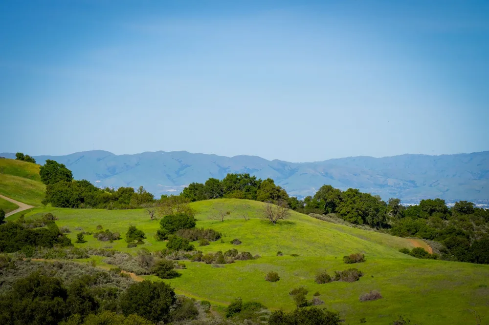 Green rolling hills in Saratoga, California, under a clear blue sky