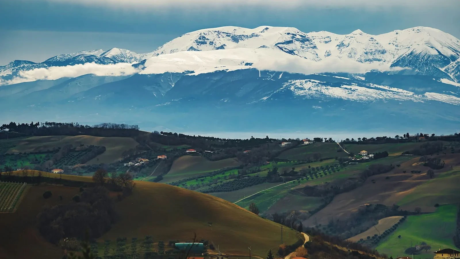 Green trees and mountains under white clouds and blue sky during daytime