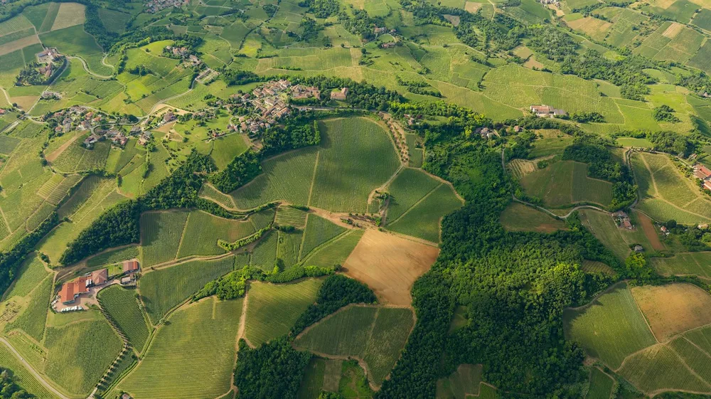 Green vineyards, forests, and a village