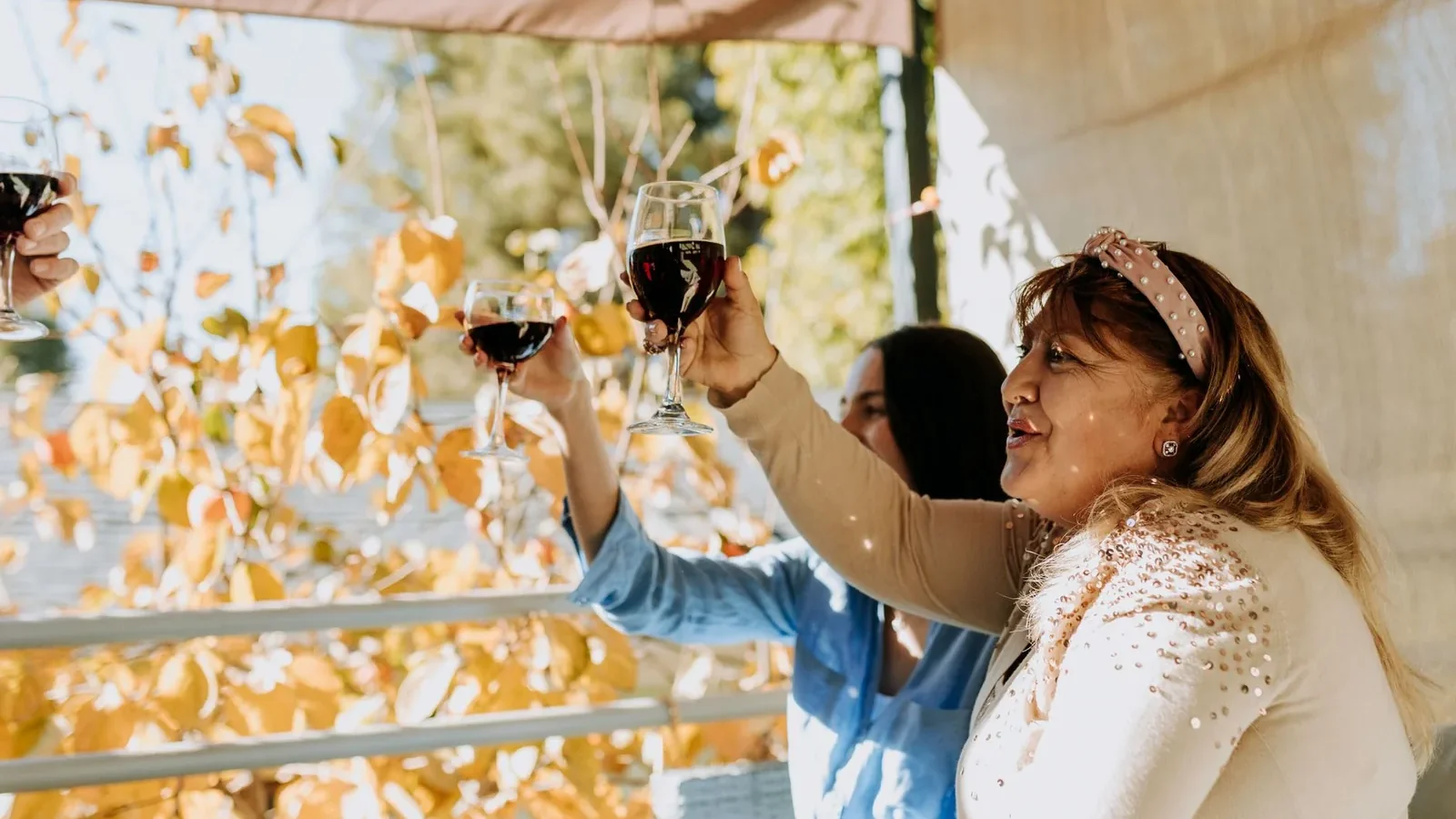 Group of women enjoying wine outdoors in autumn, celebrating together with a toast