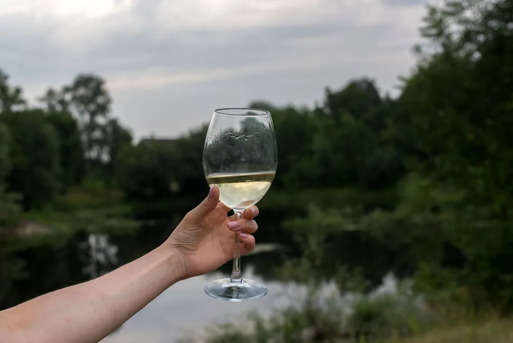Hand holding a wine glass outdoors near a serene lake, surrounded by greenery