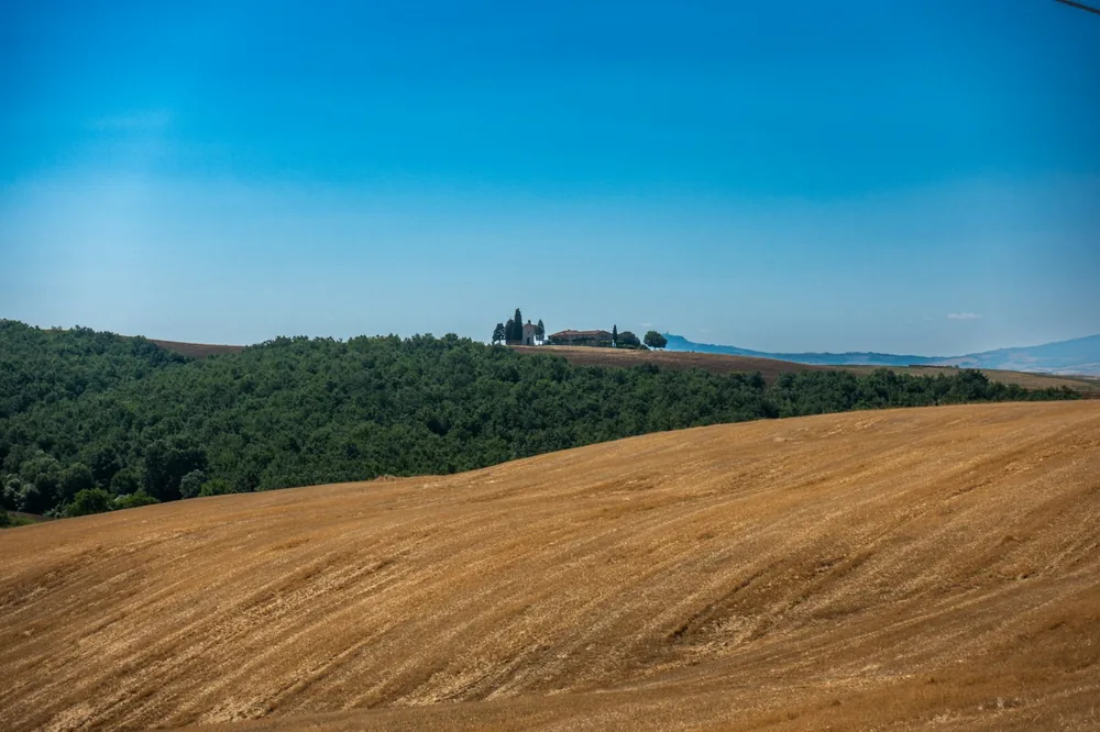 Harvested golden field with a forest and distant castle