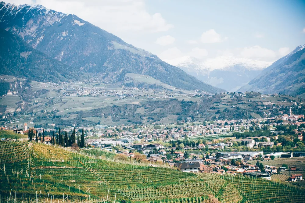 High angle of plantations on green hillside and small village surrounded by high mountains with snowy peaks