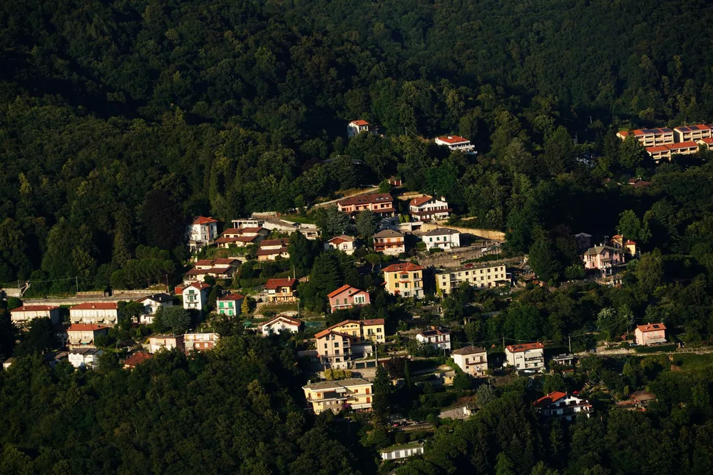 Hillside village nestled in a dense forest, showcasing charming architecture and lush greenery