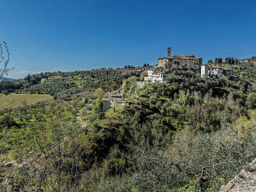 Hillside village with olive trees under a clear blue sky