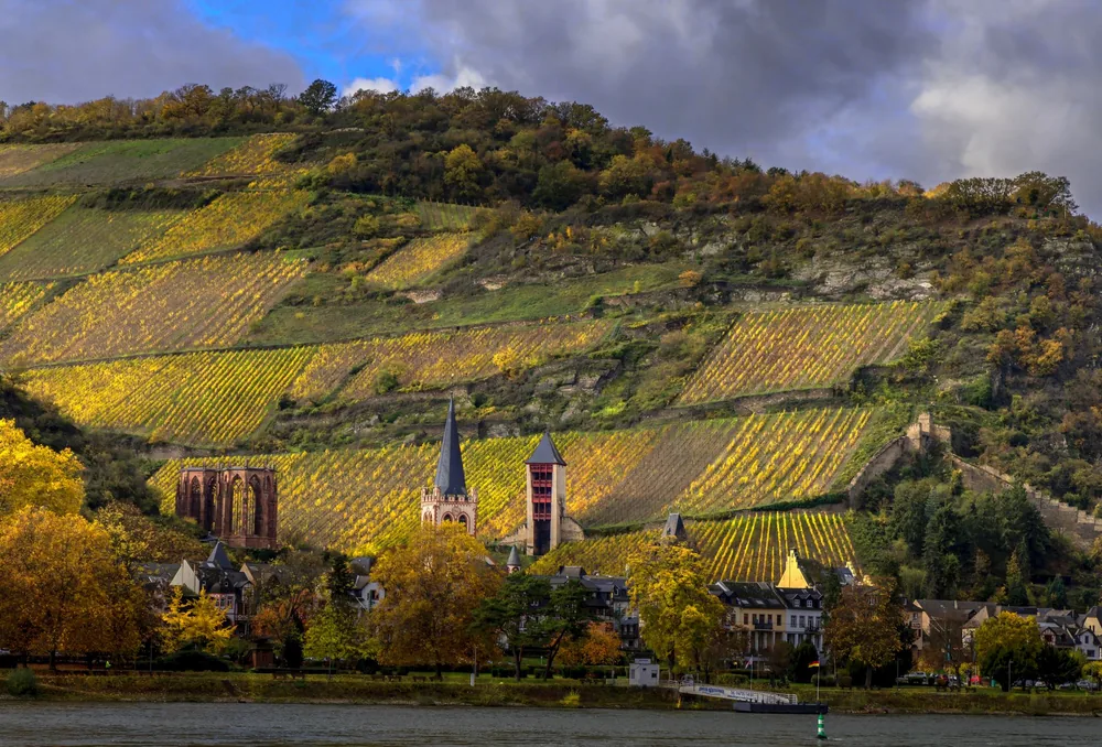 Hillside village with vineyards in autumn, captured during the day