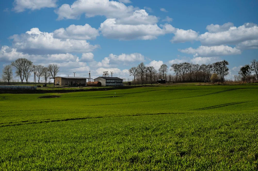 Idyllic countryside with lush green fields and farm buildings under a blue sky