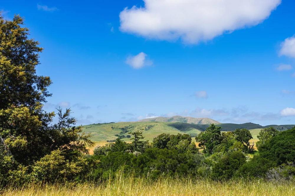Idyllic landscape of lush green hills and trees under a serene blue sky with fluffy clouds