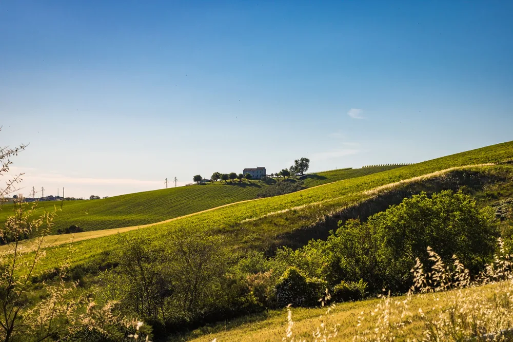 Idyllic rolling hills with lush greenery and a sunny clear sky, perfect for relaxation