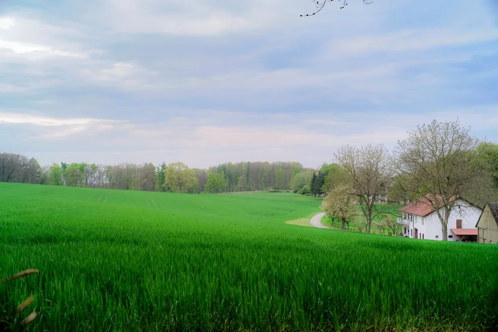 Idyllic rural landscape featuring lush green fields and a farmhouse under a cloudy spring sky