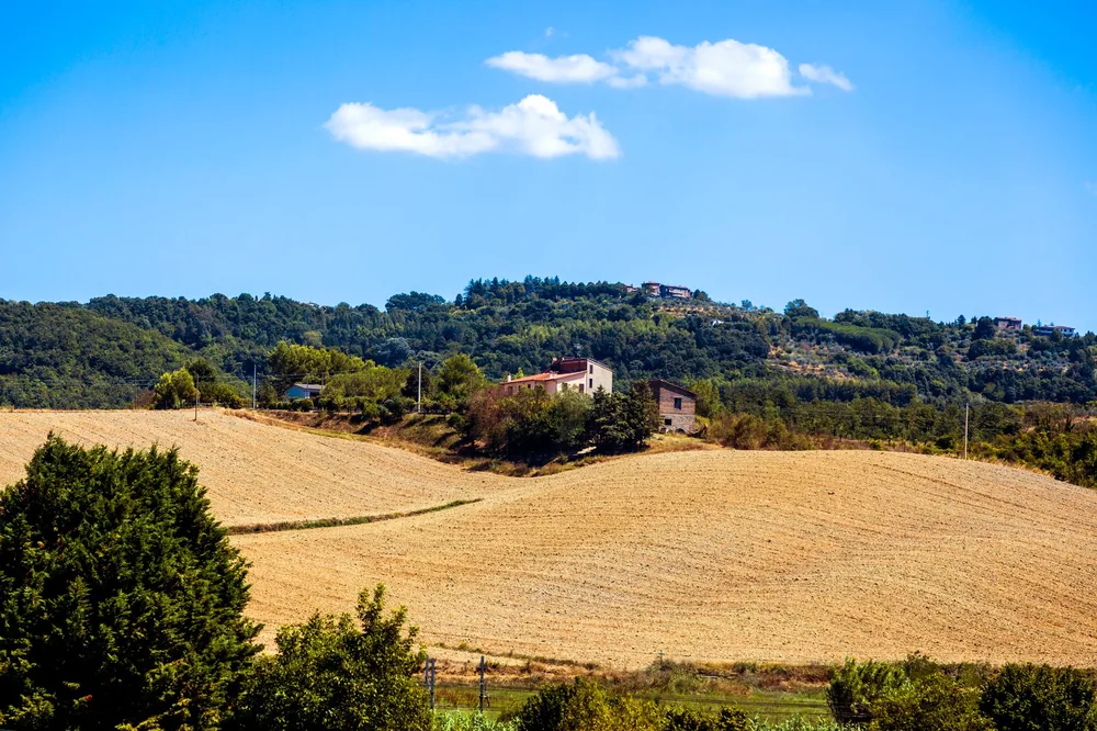 Idyllic rural landscape with rolling hills and a countryside view under a clear blue sky