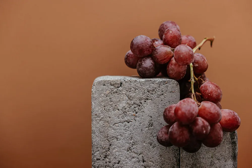 Juicy red grapes rest on a concrete block against a brown background
