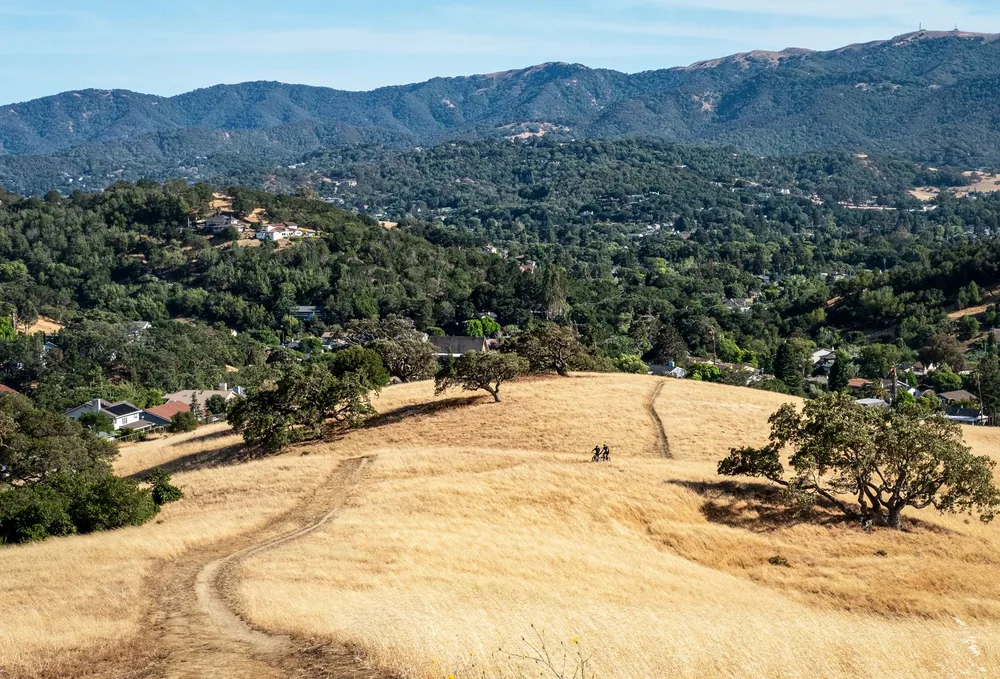 Landscape featuring rolling hills with golden grass and lush green mountains in the background