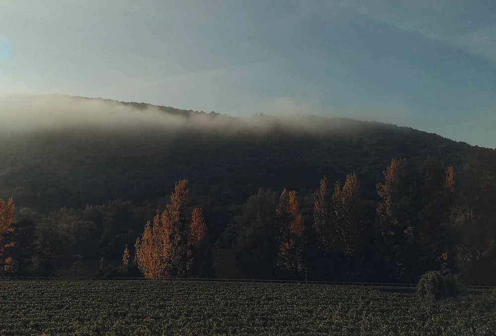Landscape of a misty rural countryside with foggy hills and autumn trees
