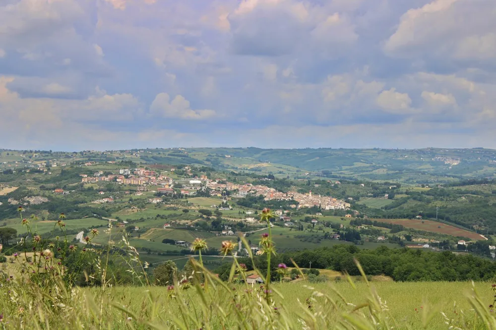Landscape of a village in the distance among the green countryside seen from a field of tall green grass during a spring day