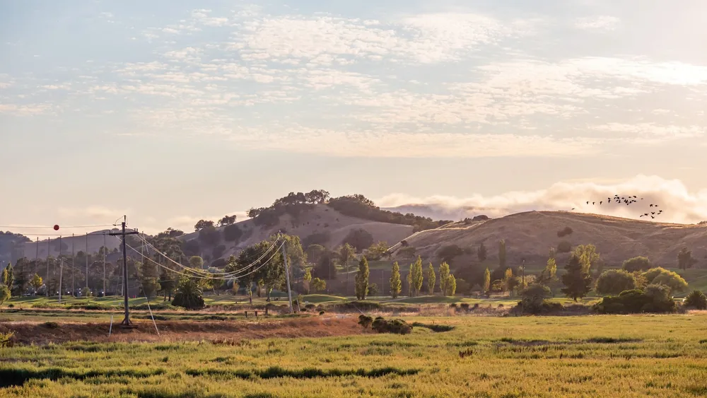 Landscape of hills with birds flying under a clear blue sky