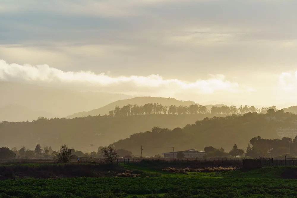 Landscape of lush hills at golden hour with soft light and clouds