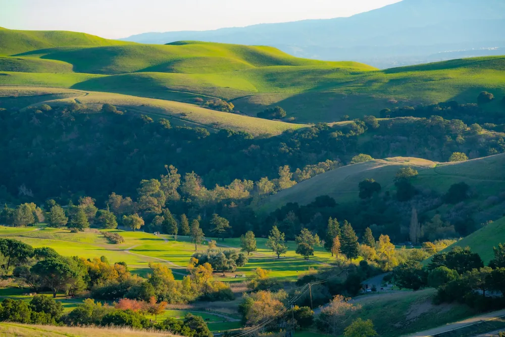 Landscape of rolling green hills and dense forests, capturing nature's beauty