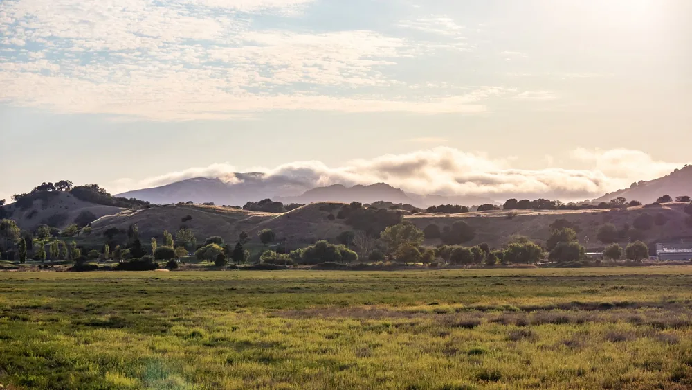 Landscape of rolling hills with mist and morning light