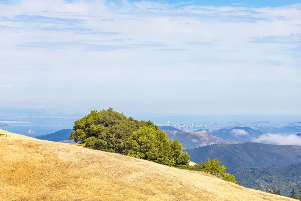 Landscape with hills overlooking a distant city skyline under a blue sky