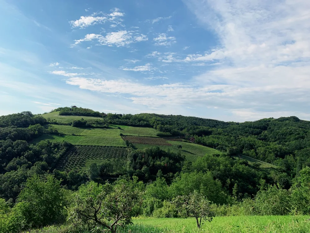 Landscape with lush green hills under a bright blue sky, perfect for nature lovers