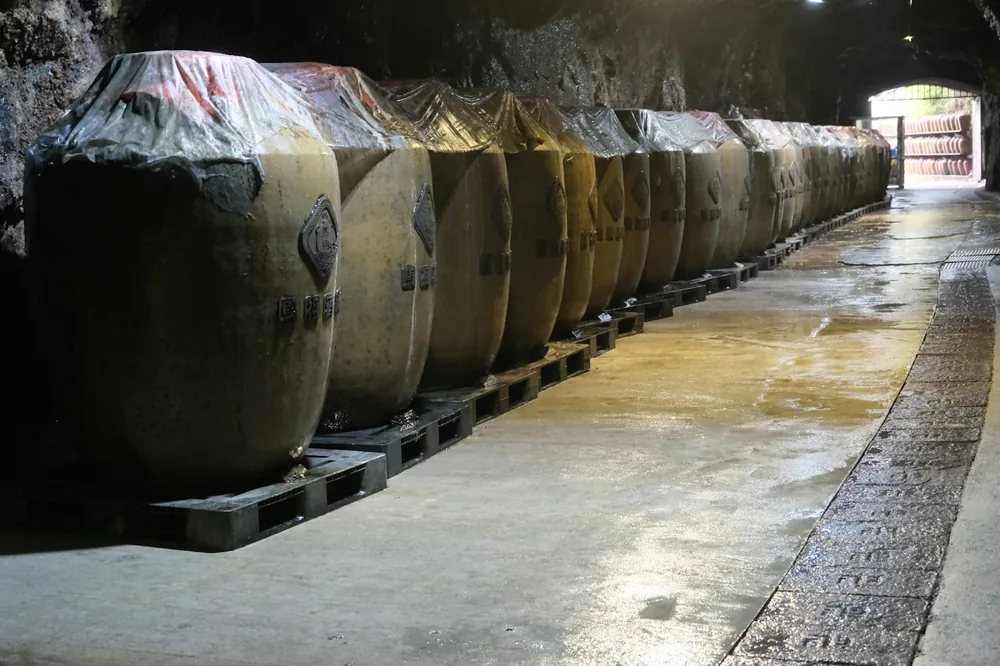 Large ceramic jars covered with plastic in a cellar