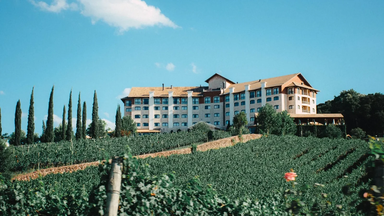 Large mansion with classic architecture surrounded by lush vineyard under a bright sky
