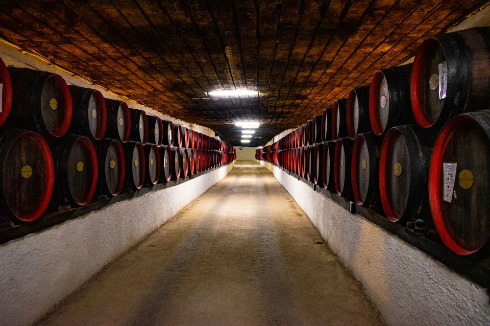 Long corridor of wooden barrels in a winery cellar, perfect for wine production and aging