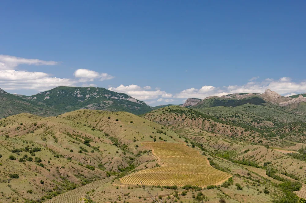Lush green hills and croplands under a clear blue sky