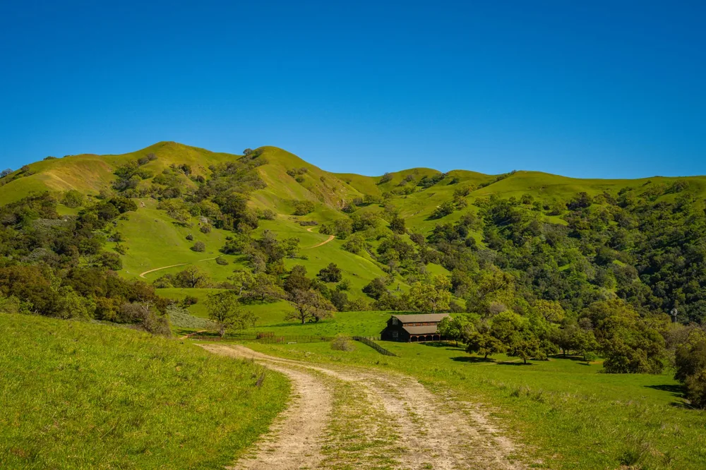 Lush green hills and rustic barn in Sunol, California