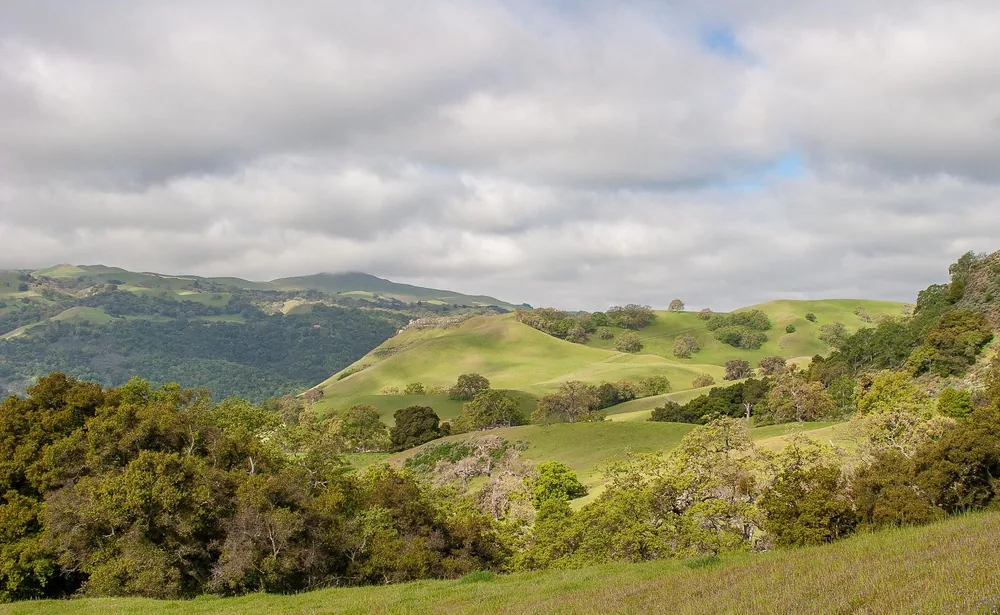 Lush green hills and trees under a cloudy sky, California