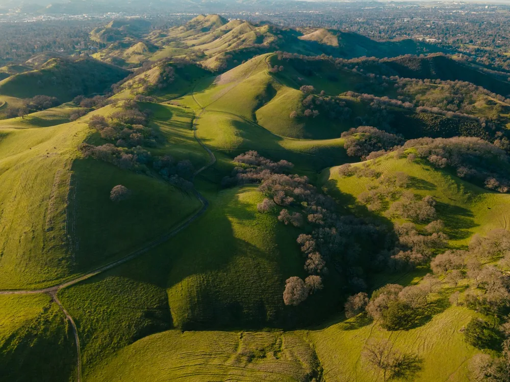 Lush green hills and valleys in Alamo, California landscape