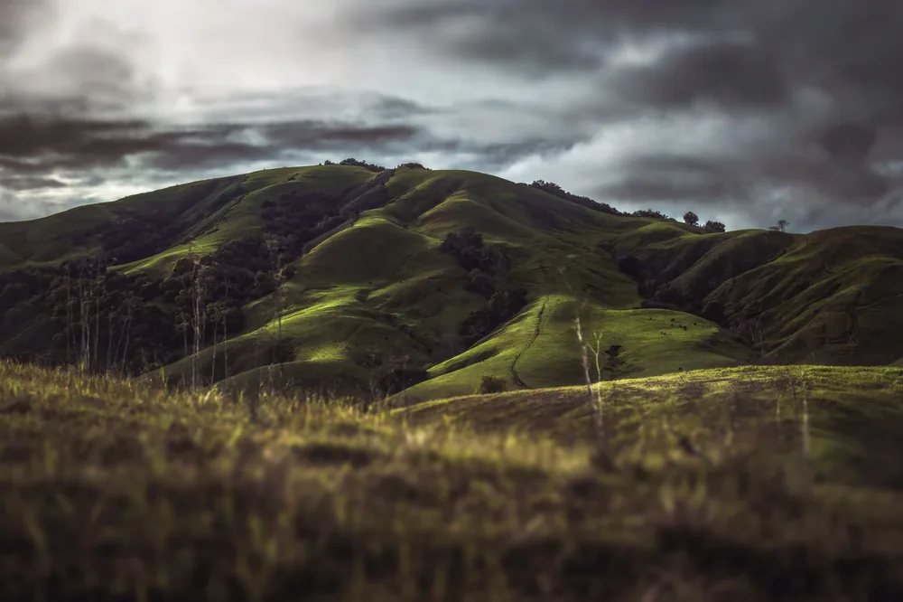 Lush green hills in Cambria, CA, with dramatic clouds overhead. Perfect nature escape