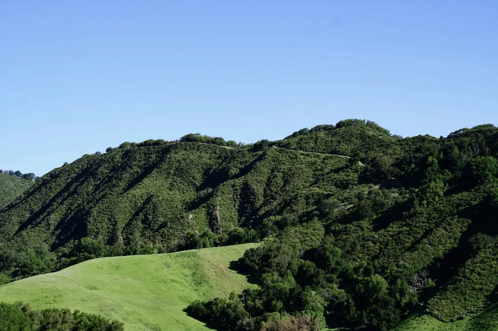 Lush green hills under a clear blue sky