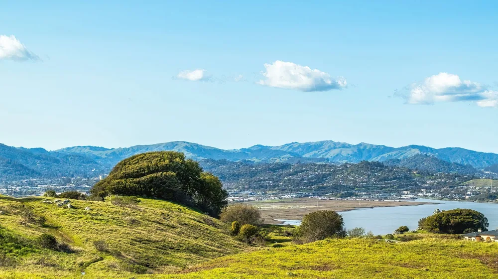 Lush green hills with mountains in the background under a clear blue sky