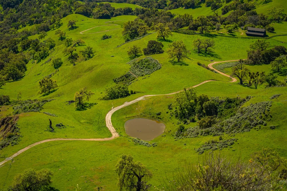 Lush green hills with winding paths and a pond in Sunol, California