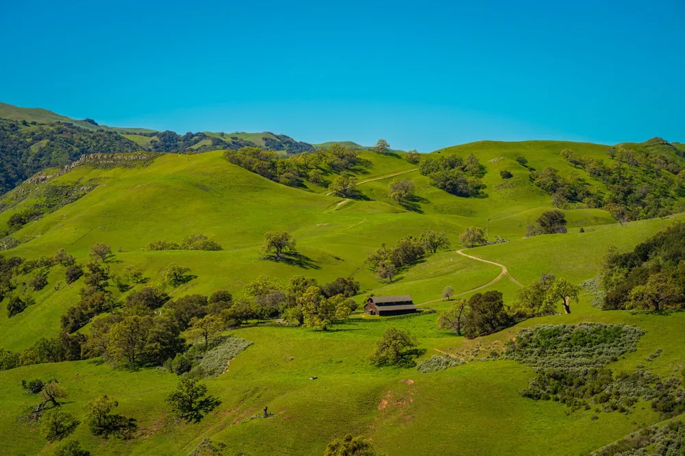 Lush green rolling hills and a rustic barn in Sunol, California