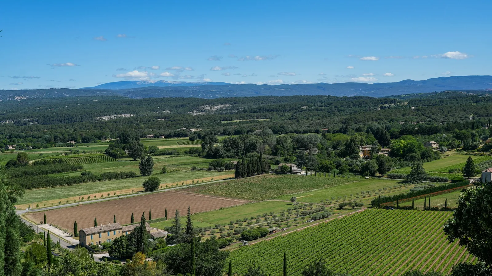 Lush green valley with vineyards, fields, and distant mountains