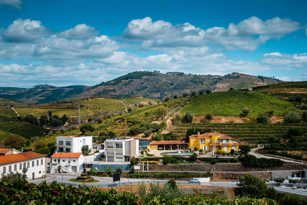 Lush vineyards and colorful houses in a serene countryside setting under a bright sky