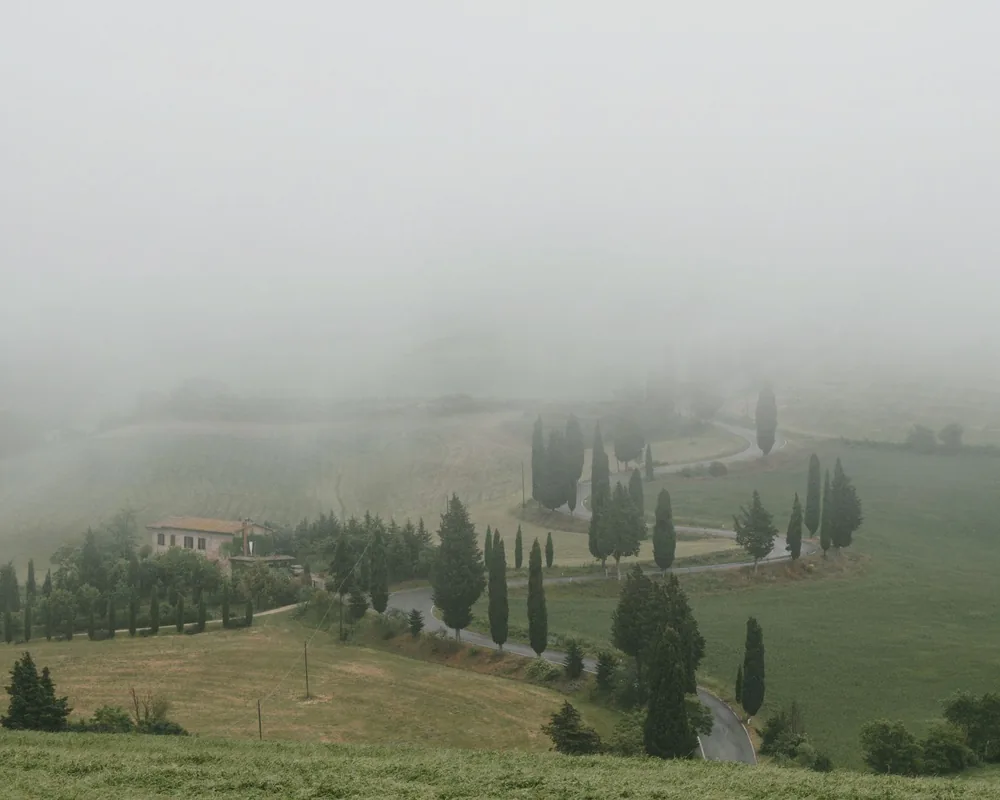Misty scene of a countryside landscape featuring cypress trees, a winding road, and a farmhouse enveloped in fog