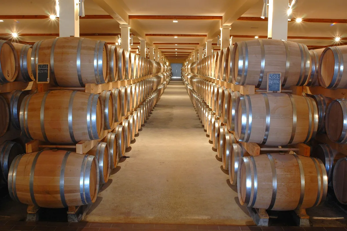Stacked oak barrels receding down a dim stone cellar corridor
