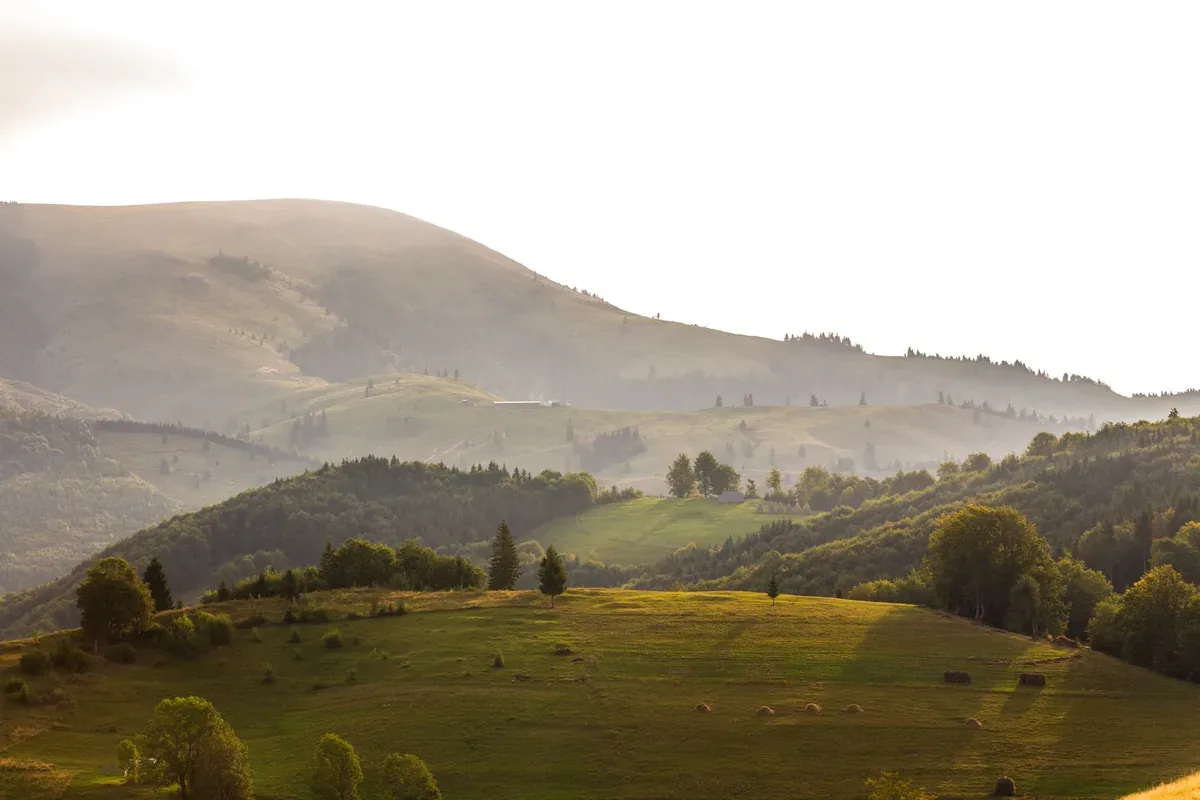 Peaceful early morning view of misty hills and lush forests in a serene landscape